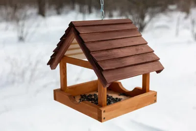 Помочь пережить зиму: в Челябинске создают сетчатые кормушки для птиц