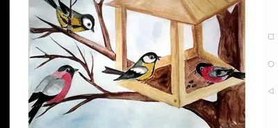 Зимняя кормушка для птиц: наблюдаем за снегирями. | Пикабу