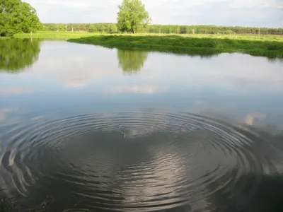 Круги на воде (Анастасия Тройка) / Проза.ру