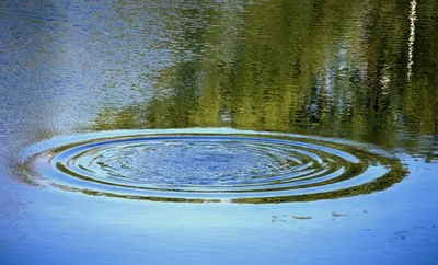 Фото круги на воде фотографии