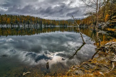 Круги на воде картинки - 61 фото