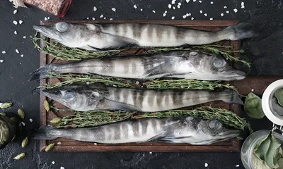 🐟 Ледяная рыба купить в Москве по цене за 1 кг от 1350 руб —  интернет-магазин Дикоед