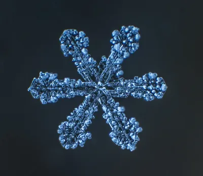 Молекула под микроскопом - 66 фото