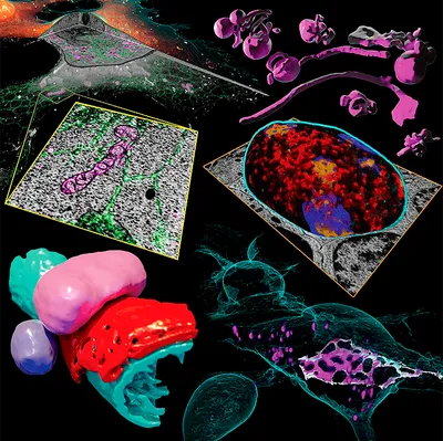 Абстрактные прозрачные пузырьки молекул в косметическом продукте по уходу  за кожей лица красота под микроскопом генерирующая иллюстрация ai | Премиум  Фото