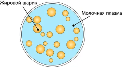 Взгляни на атомы, прикоснись к молекуле