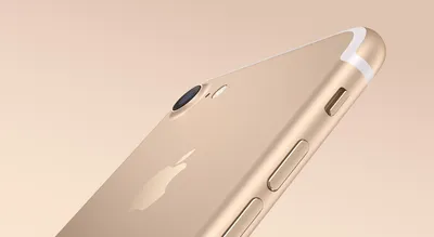 Восстановление после воды iPhone 7 (Айфон 7) в Екатеринбурге