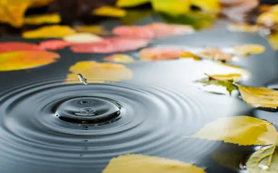 Под водой. Мой опыт фотосессии в воде | Фотограф DzenFM | Дзен