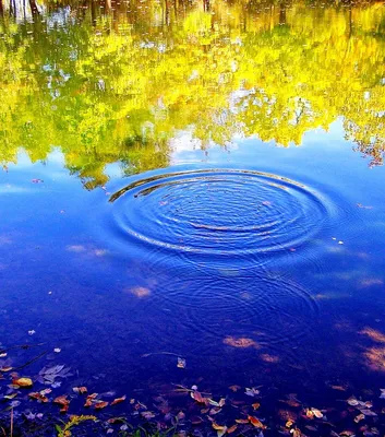 Фотосессия в воде: позы для съемки и оригинальные идеи