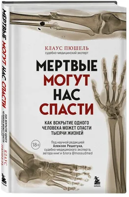 Кальян 26 см A009 на одного человека (ID#774860623), цена: 417 ₴, купить на  Prom.ua