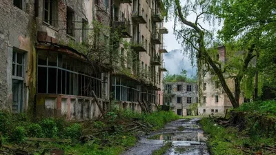 В моей семье стало на одного человека больше». Новости