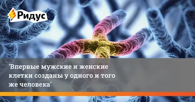 Это еще не конец». Можно ли дважды влюбиться в одного и того же человека? |  Аргументы и факты – aif.ru | Дзен