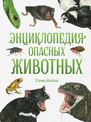 🐠Самые опасные рыбы в мире: ТОП 20 с названиями, описанием и фото