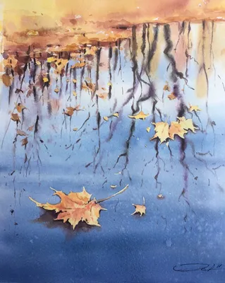 Осенние листья на воде стоковое изображение. изображение насчитывающей пуща  - 155985583