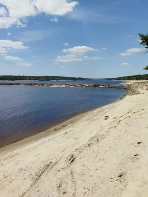 Падающей Воды Между Осенние Листья Стоковые Фотографии | FreeImages