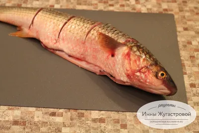 Свежий улов пеленгаса уже в наличии 👌 Рыбка весом около 600гр - 160₽/кг  Рыбка весом около 300гр - 120₽/кг Для заказа и бронирования… | Instagram
