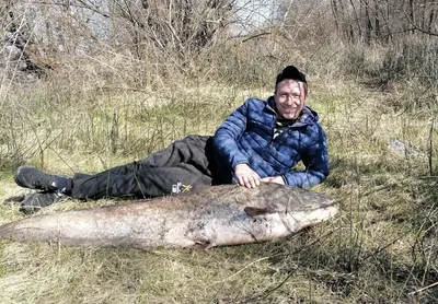 Свежей Рыбы Пойманной В Рыболовная Сеть — стоковые фотографии и другие  картинки Промысловая рыболовная сеть - Промысловая рыболовная сеть, Рыба,  Автоперевозка - iStock