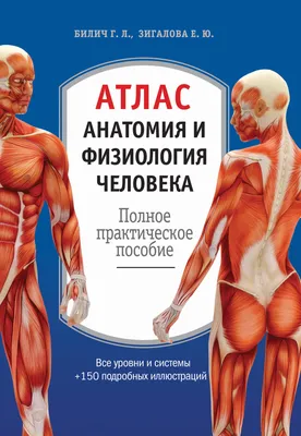 Пневмония убила самого толстого человека в мире // Новости НТВ