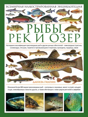 Часть 7. Пресноводные рыбы всего мира - Севастопольский аквариум