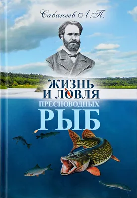 Рыба Игла необычный обитатель Волги и Камы, откуда появилась и почему у рыбы  иглы такой причудливый внешний вид, ответ ихтиолога | Заметки ихтиолога. |  Дзен