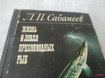 Русская Книга. Жизнь и ловля пресноводных рыб. ЛП.Сабанеев. | eBay