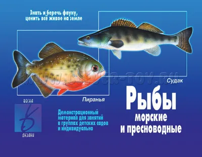 Пресноводные рыбы. Карманный определитель | Глушенков Олег Владимирович -  купить с доставкой по выгодным ценам в интернет-магазине OZON (370915135)