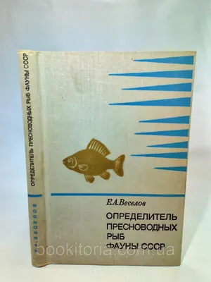 Купить Рыбн.конс. Рагу из пресноводных рыб натур. 230г