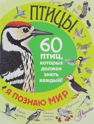 После урагана: из журавлиной стаи в живых остались только четыре птицы