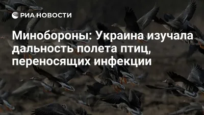 Гаврилюк М., Илюха А., Борисенко Н. Зимние учеты хищных птиц в  агроландшафтах Центральной Украины (сезон 2012-1013 гг.) – Український  центр досліджень хижих птахів