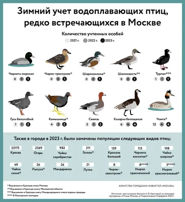 ПОСЛАНИЕ ГЕНЕРАЛЬНОГО СЕКРЕТАРЯ ПО СЛУЧАЮ ВСЕМИРНОГО ДНЯ ПЕРЕЛЕТНЫХ ПТИЦ |  РЦПДЦА