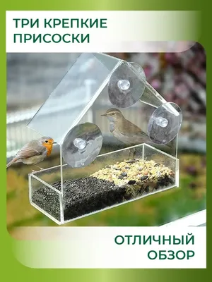 Прозрачная кормушка домик для птиц \"Княжий\" в магазине «Арт-кормушка» на  Ламбада-маркете