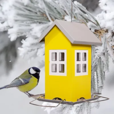 Дикая сетчатая металлическая подвесная сова в форме металлической кормушки  для птиц садовый декор - купить с доставкой по выгодным ценам в  интернет-магазине OZON (1283841776)