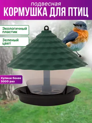 Кладем в кормушки семечки, крупы»: в Татарстане стартовала акция «Покормите  птиц зимой!»