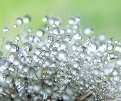 350 шт. круглые прозрачные капли воды, прозрачные капли росы, капли воды,  украшения, искусственные бусины из смолы | AliExpress