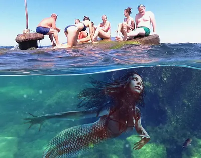 русалка плавать под водой подводный выстрел, настоящие фотографии русалок,  Русалочка, рыбы фон картинки и Фото для бесплатной загрузки