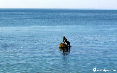 Русалка под водой» — создано в Шедевруме