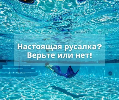 Премьера шоу под водой – русалка в Воронежском океанариуме