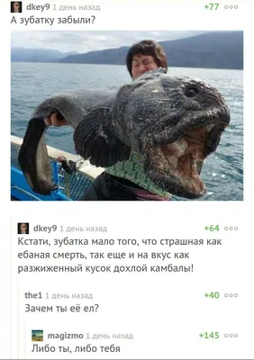Объемы прибрежного вылова промысловых видов рыб в Белом море упали -  Российская газета