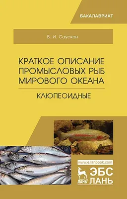 Самые красивые рыбы мирового океана | Солнечный Геленджик | Дзен