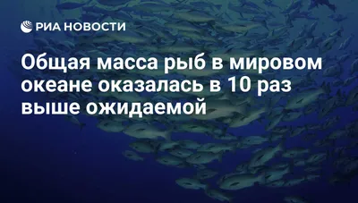 Желтые рыбы океана стоковое фото. изображение насчитывающей океан -  142997830