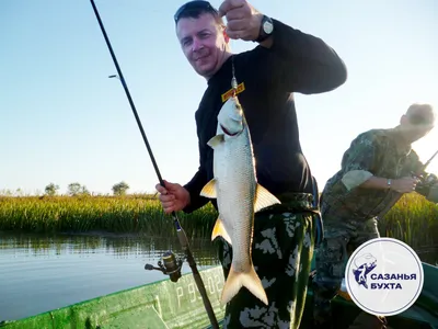 Какую рыбу ловят рыбаки в водоёмах Беларуси