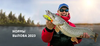 Календарь рыбака, клев ФЕВРАЛЬ 2024 года: сборник самой важной информации  для рыбалки на месяц