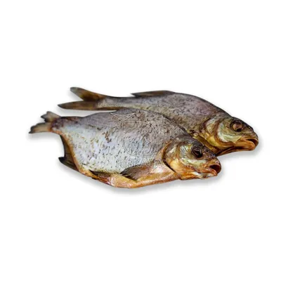 Рыба Лещ - «Самая простая рыба, которая водится везде. Легко поймать, легко  приготовить.» | отзывы