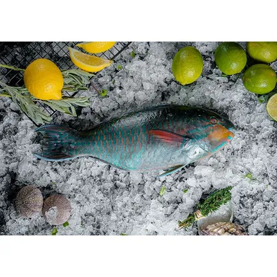 Ледяная рыба с/м 500 г в Москве, цены: купить Свежемороженая с доставкой