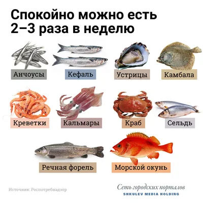 Вяленая рыба: настоящий мужской деликатес. Cушение и вяление рыбы - виды и  особенности.