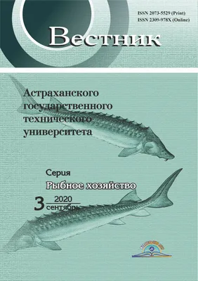 Стерлядь свежаяразмером 350-500 гр | Акваферма «Рыбное подворье»