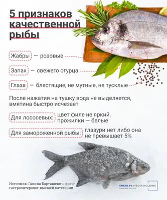 Сорта северной рыбы - Frost Fish