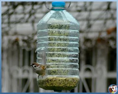 Веревочный сад летающих животных на открытом воздухе для домашних животных  инструмент для кормления кормушка для птиц поставки контейнер для еды –  лучшие товары в онлайн-магазине Джум Гик