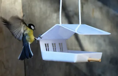 Кормушка для птиц из бутылок с автоматической подачей корма | Жизнь в  деревне | Дзен