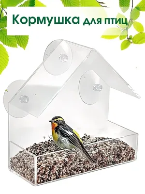 Кормушки для птиц для уличной кормушки для птиц подвесная кормушка для сада  двора наружное украшение кормушка для еды кормушка для семян птиц |  AliExpress