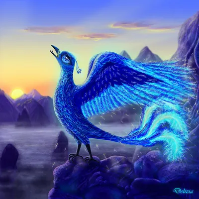 Синяя птица, или фиолетовый дрозд / Голос синей птицы /выглядит синяя птица/  как поёт / голоса птиц - YouTube